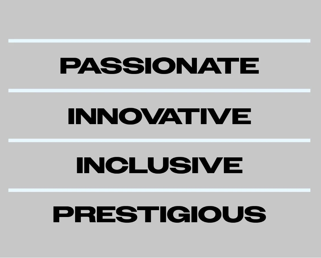 Disr. Ltd design strategy values: passionate, innovative, inclusive & prestigious